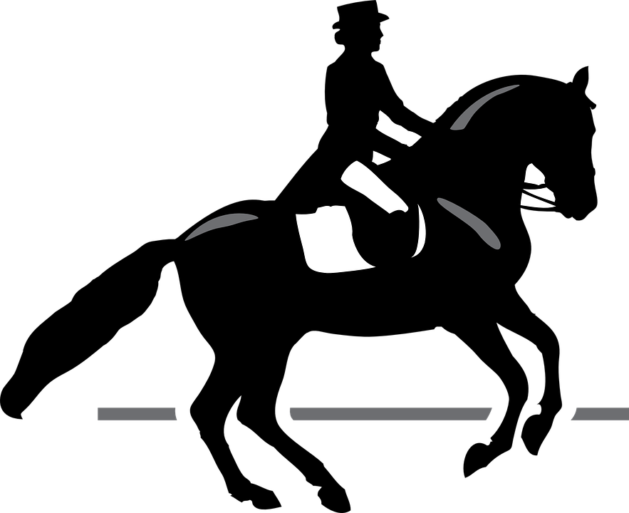 Horse Riding Clipart - Race Horse Silhouette Png - Free Transparent PNG Clipart Images Download. - Horse Transparent PNG Free Download
