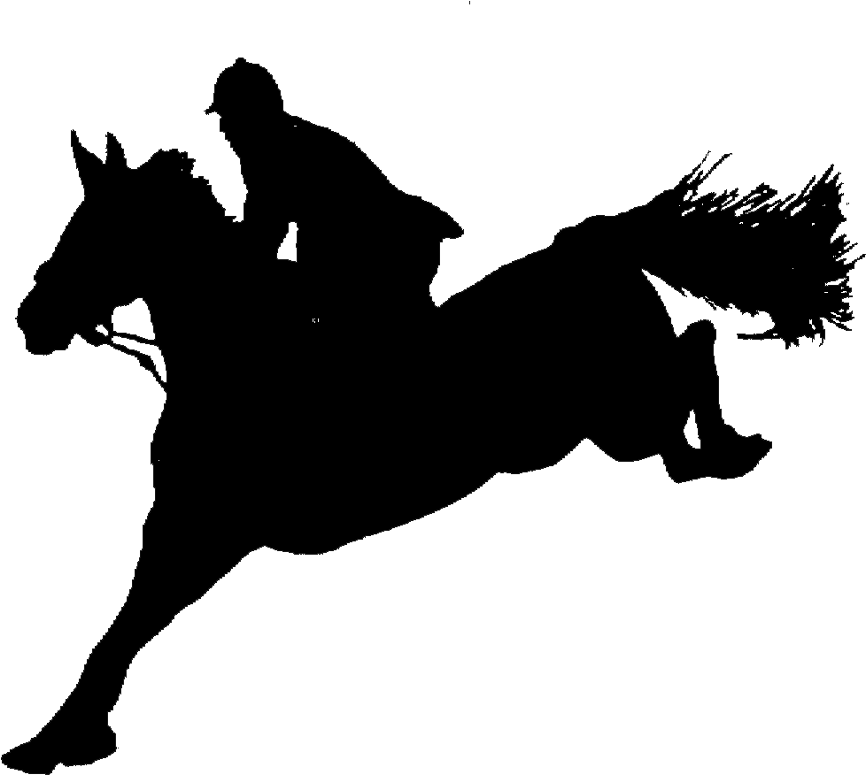 Local/unrecognized Shows Are Shows Operated On A Local - Jumping Horse Silhuet Transparent - Free Transparent PNG Clipart Images Download. - Horse Transparent PNG Free Download