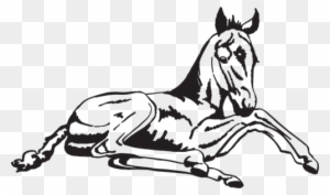 [ Img] - Horse - Free Transparent PNG Clipart Images Download. - Horse Transparent PNG Free Download