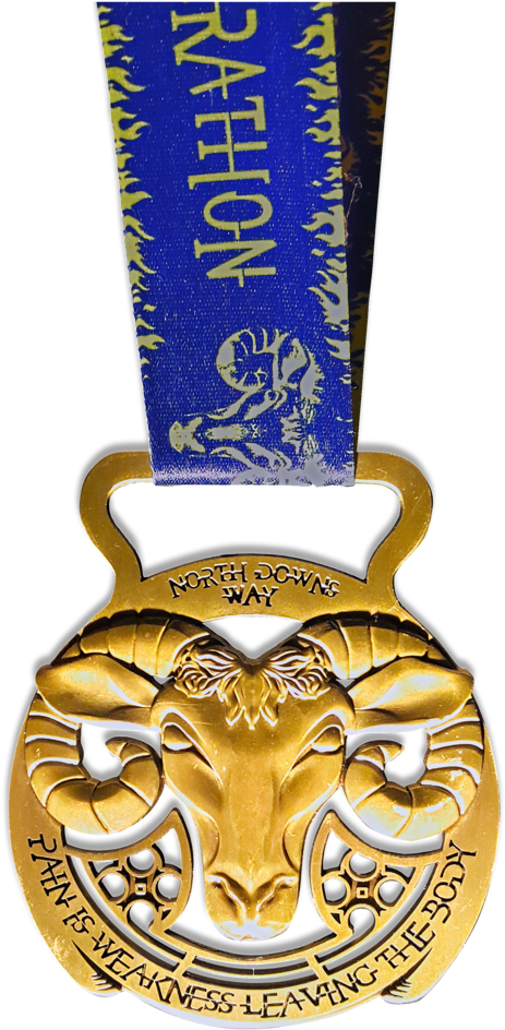 Horse Brass, Bespoke Horse Brass, Huge Medal, Giant - Emblem - Free Transparent PNG Clipart Images Download. - Horse Transparent PNG Free Download