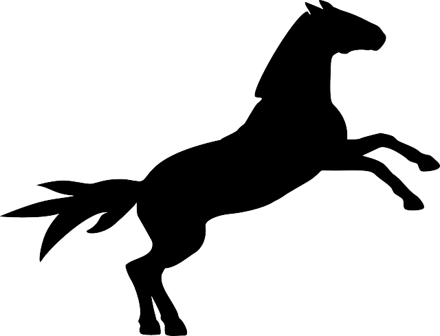 Black Horse, Silhouette, Animal, Black - Custom Black Horse Silhouette Shower Curtain - Free Transparent PNG Clipart Images Download. - Horse Transparent PNG Free Download