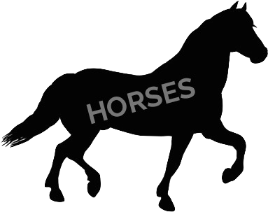 Horse - Horse Clip Art Silhouette - Free Transparent PNG Clipart Images Download. - Horse Transparent PNG Free Download