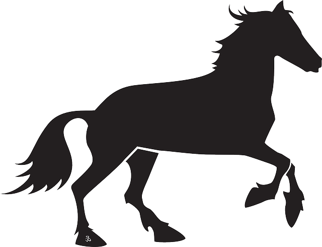 Black, Silhouette, Transportation, Horse, Running - Pferd Schwarz Weiß Clipart - Free Transparent PNG Clipart Images Download. - Horse Transparent PNG Free Download
