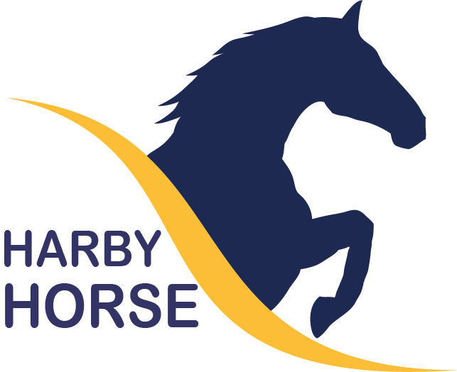 Harby The Horse - Horses Of Lost Valley - Free Transparent PNG Clipart Images Download. - Horse Transparent PNG Free Download