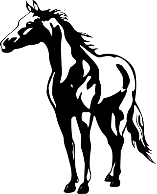 Horse - Aluckyhorseshoe Horse Decal Name Sticker Girls Bedroom - Free Transparent PNG Clipart Images Download. - Horse Transparent PNG Free Download