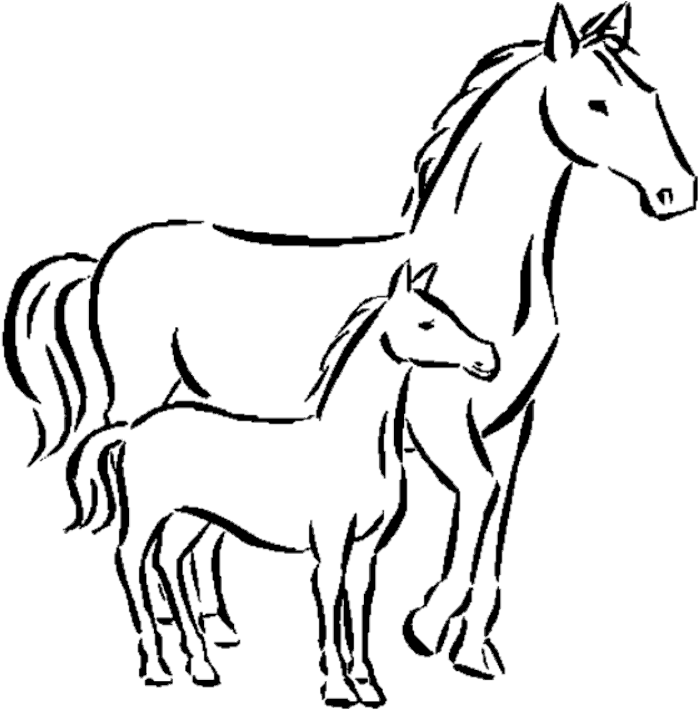 Coloring Pages To Print Horse Coloring Pages To Print - Drawing Of A Small Horse - Free Transparent PNG Clipart Images Download. - Horse Transparent PNG Free Download