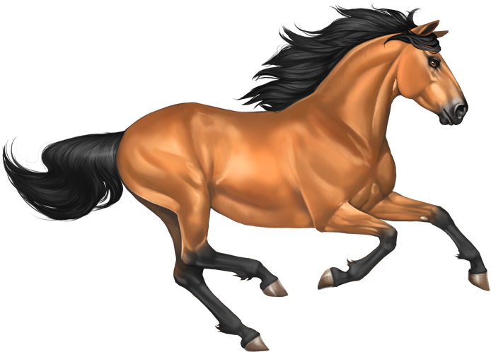 Download Png Image Report - Mustang Horse Png - Free Transparent PNG Clipart Images Download. - Horse Transparent PNG Free Download