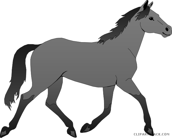 Baby Horse Animal Free Black White Clipart Images Clipartblack - Phillip Island - Free Transparent PNG Clipart Images Download. - Horse Transparent PNG Free Download
