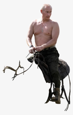 Personputin - Putin On Horse Transparent Transparent PNG - 804x1238 - Free Download on - Horse Transparent PNG Free Download