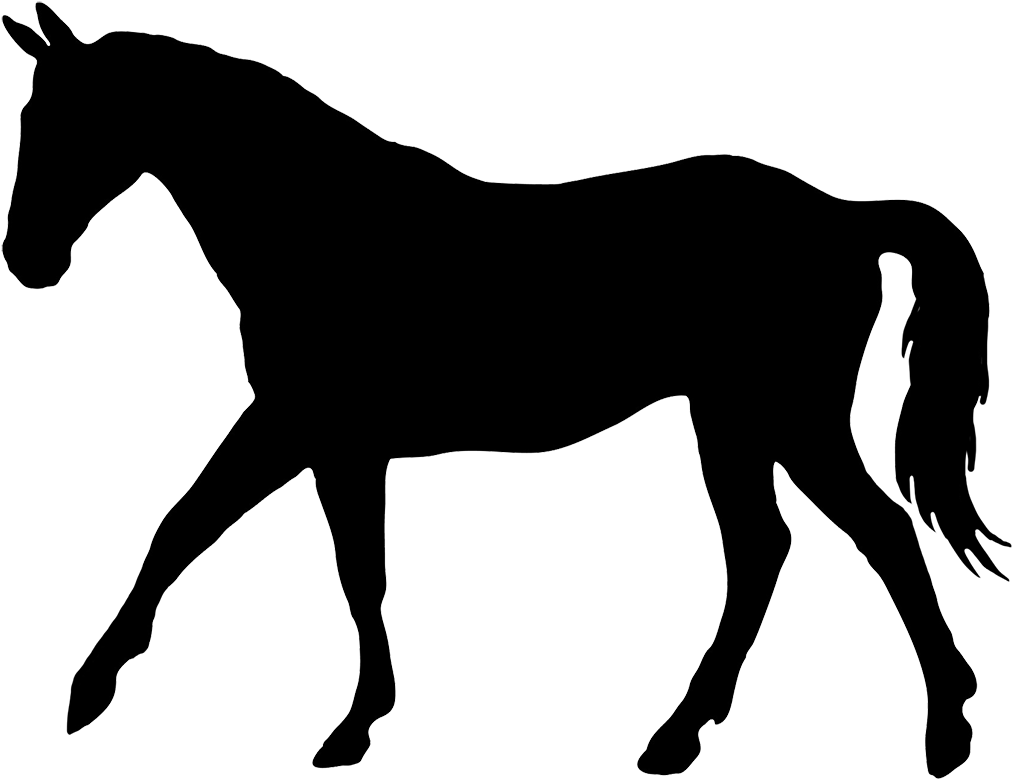 1000 Ideas About Horse Silhouette On Pinterest - Horse Silhouette Png - Free Transparent PNG Clipart Images Download. - Horse Transparent PNG Free Download