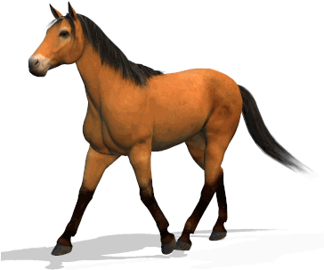 Images Clipart - Horse Animation - Free Transparent PNG Clipart Images Download. - Horse Transparent PNG Free Download