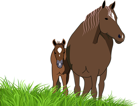 Foal Mare Horse Animal Foal Mare Horse Hor - Horse And Foal Clipart - Free Transparent PNG Clipart Images Download. - Horse Transparent PNG Free Download