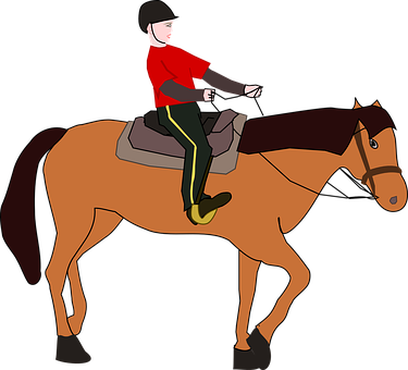 Cavalier, Horseman, Equestrian, Horse - Horse Riding Cartoon - Free Transparent PNG Clipart Images Download. - Horse Transparent PNG Free Download