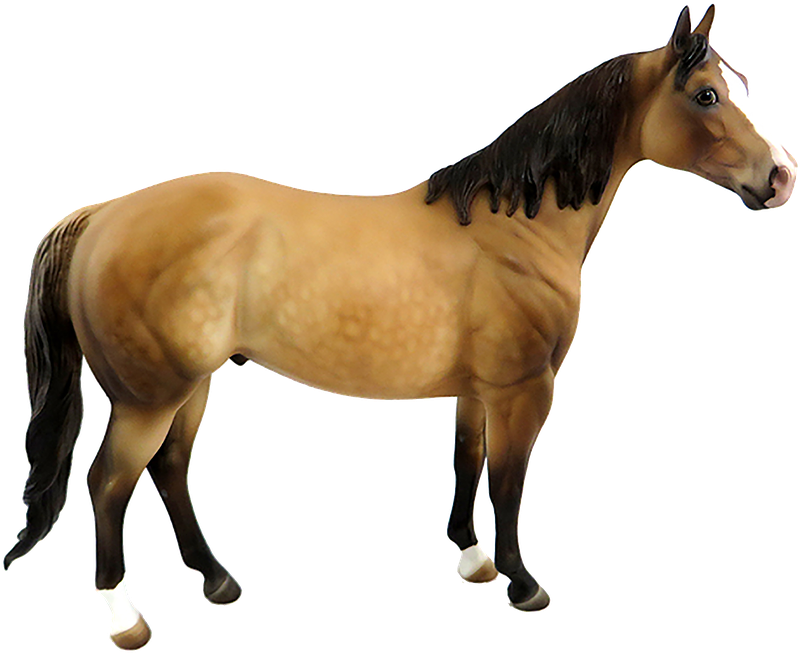 Horse, Brown, Isolated, Brown Horse, Animal - Horse - Free Transparent PNG Clipart Images Download. - Horse Transparent PNG Free Download
