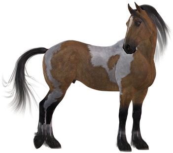Horse Colorful Brown Mane White Animal Mou - Stallion - Free Transparent PNG Clipart Images Download. - Horse Transparent PNG Free Download