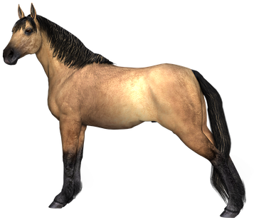 Horse Brown Animal Equestrian 3d Farm Rend - Tier Png - Free Transparent PNG Clipart Images Download. - Horse Transparent PNG Free Download