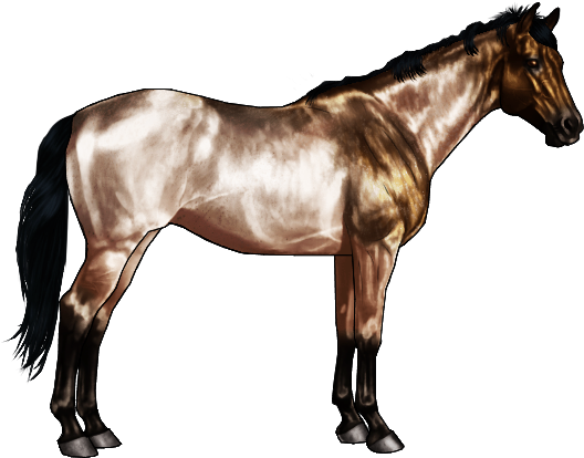 Bay Roans Are Bay Horses With The Roan Gene, They Retain - Horse Black And White Old - Free Transparent PNG Clipart Images Download. - Horse Transparent PNG Free Download