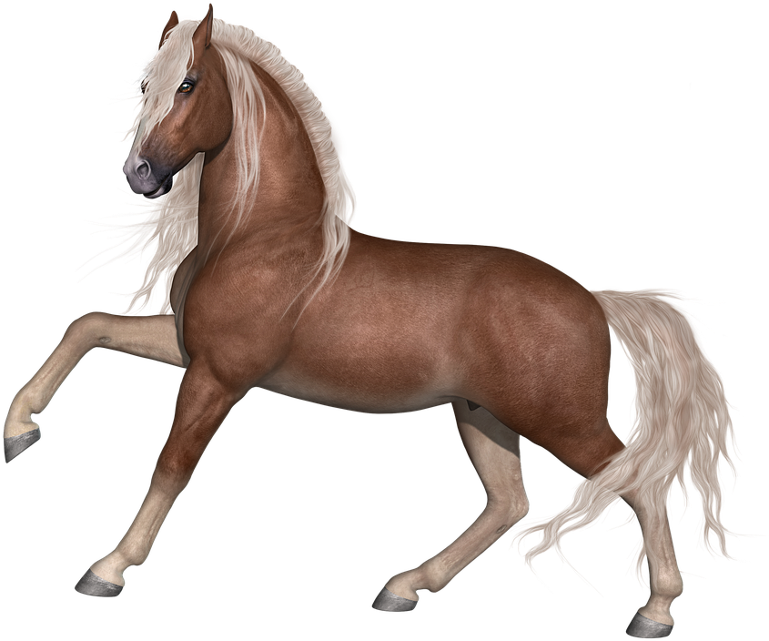 Horse, Stallion, Animal, Farm, Equine, Equestrian, - Animal Farm Horse - Free Transparent PNG Clipart Images Download. - Horse Transparent PNG Free Download