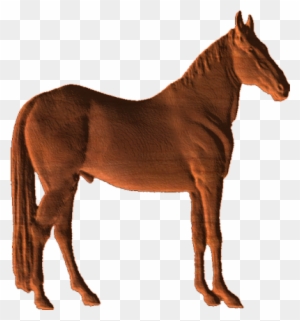 Horse - Cl - Vizsla - Free Transparent PNG Clipart Images Download. - Horse Transparent PNG Free Download