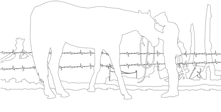 Trojan War Horse Coloring Page - War Horse Colouring Pages - Free Transparent PNG Clipart Images Download. - Horse Transparent PNG Free Download