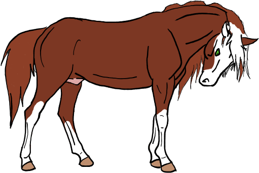 Chestnut Male Horse By Adqwweeree - Male Horse Deviantart - Free Transparent PNG Clipart Images Download. - Horse Transparent PNG Free Download
