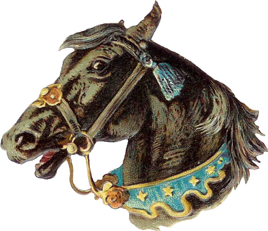Horse Bridle Cliparts - Vintage Horse Png - Free Transparent PNG Clipart Images Download. - Horse Transparent PNG Free Download