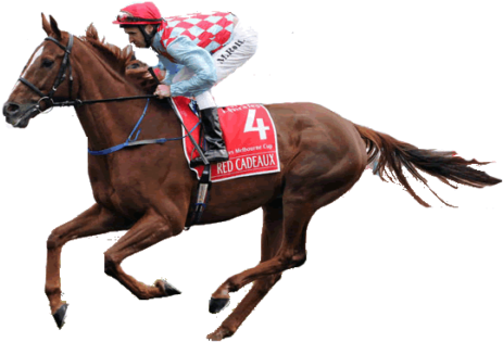Have You At Any Point Ceased To Ask Why You Have Not - Melbourne Cup Horse Transparent - Free Transparent PNG Clipart Images Download. - Horse Transparent PNG Free Download
