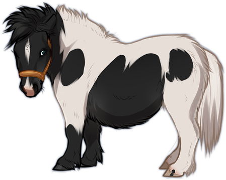 Miniature Horse Cartoon , Piebald - Cartoon Mini Horse Transparent - Free Transparent PNG Clipart Images Download. - Horse Transparent PNG Free Download