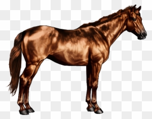 Horse Black And White Old - Free Transparent PNG Clipart Images Download. - Horse Transparent PNG Free Download