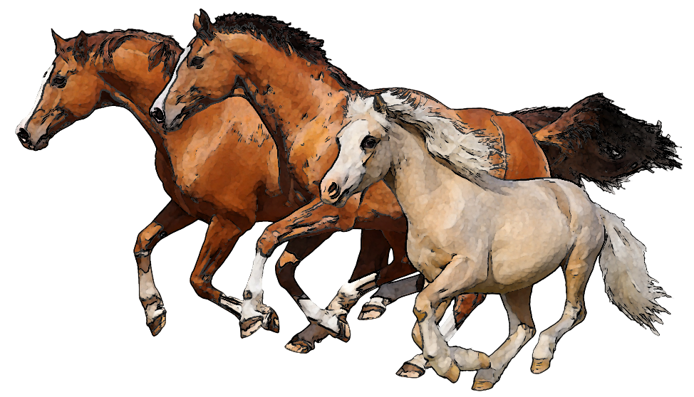 Download Png Image Report - Group Of Horses Clipart - Free Transparent PNG Clipart Images Download. - Horse Transparent PNG Free Download
