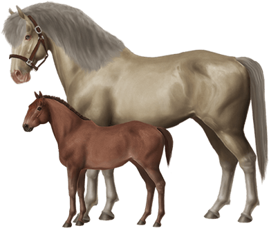 Breed Horses And Create Your Very Own Stable Of Champions - Horse World - Free Transparent PNG Clipart Images Download. - Horse Transparent PNG Free Download