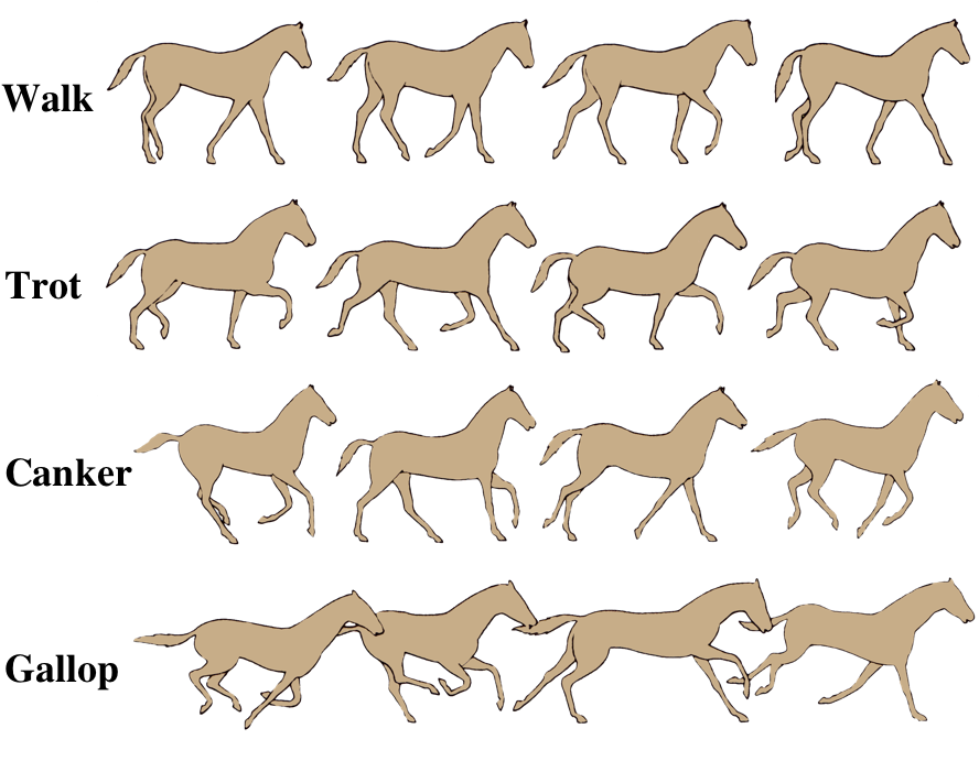 They Might Not Run Like Dogs, But The Point Still Remains - Horse Gaits - Free Transparent PNG Clipart Images Download. - Horse Transparent PNG Free Download