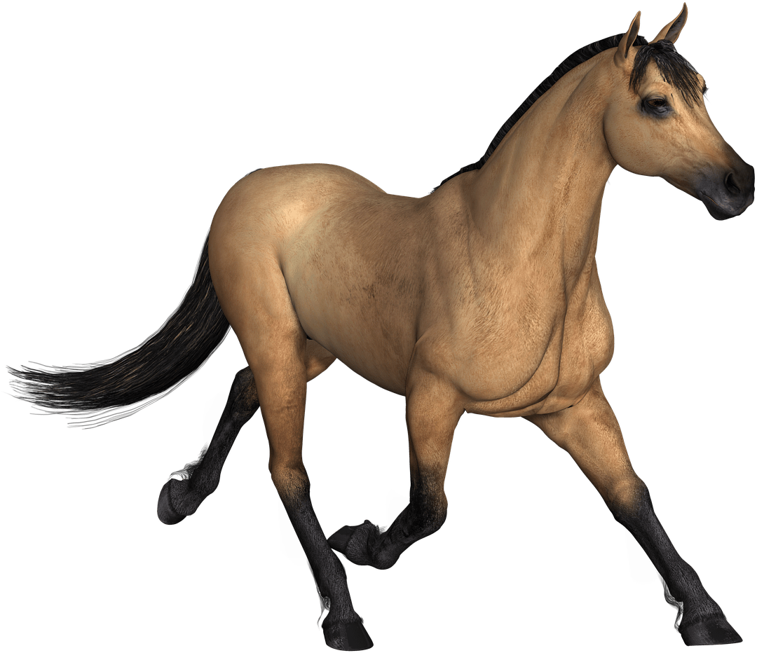 Brown Horse Running - Imagenes De Animales En Png - Free Transparent PNG Clipart Images Download. - Horse Transparent PNG Free Download