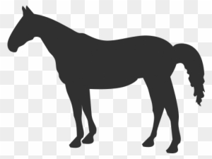 Horse Silhouette Quarter Horse - Free Transparent PNG Clipart Images Download. - Horse Transparent PNG Free Download