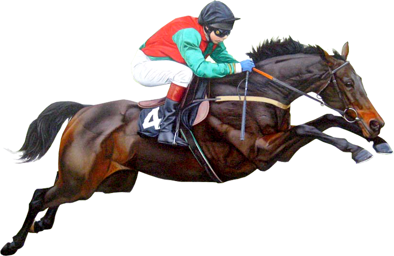 Download Png Image Report - Race Horse Clear Background - Free Transparent PNG Clipart Images Download. - Horse Transparent PNG Free Download
