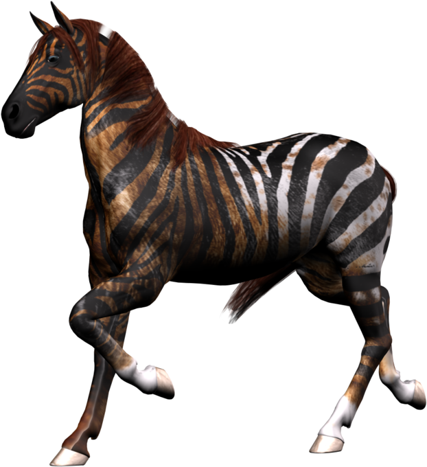 Fantasy Horse Png Stock 2 By Direwrath - Horse - Free Transparent PNG Clipart Images Download. - Horse Transparent PNG Free Download