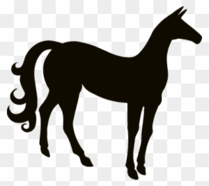 Animal, Animals, Equine, Horse - Black Horse Silhouette Png - Free Transparent PNG Clipart Images Download. - Horse Transparent PNG Free Download