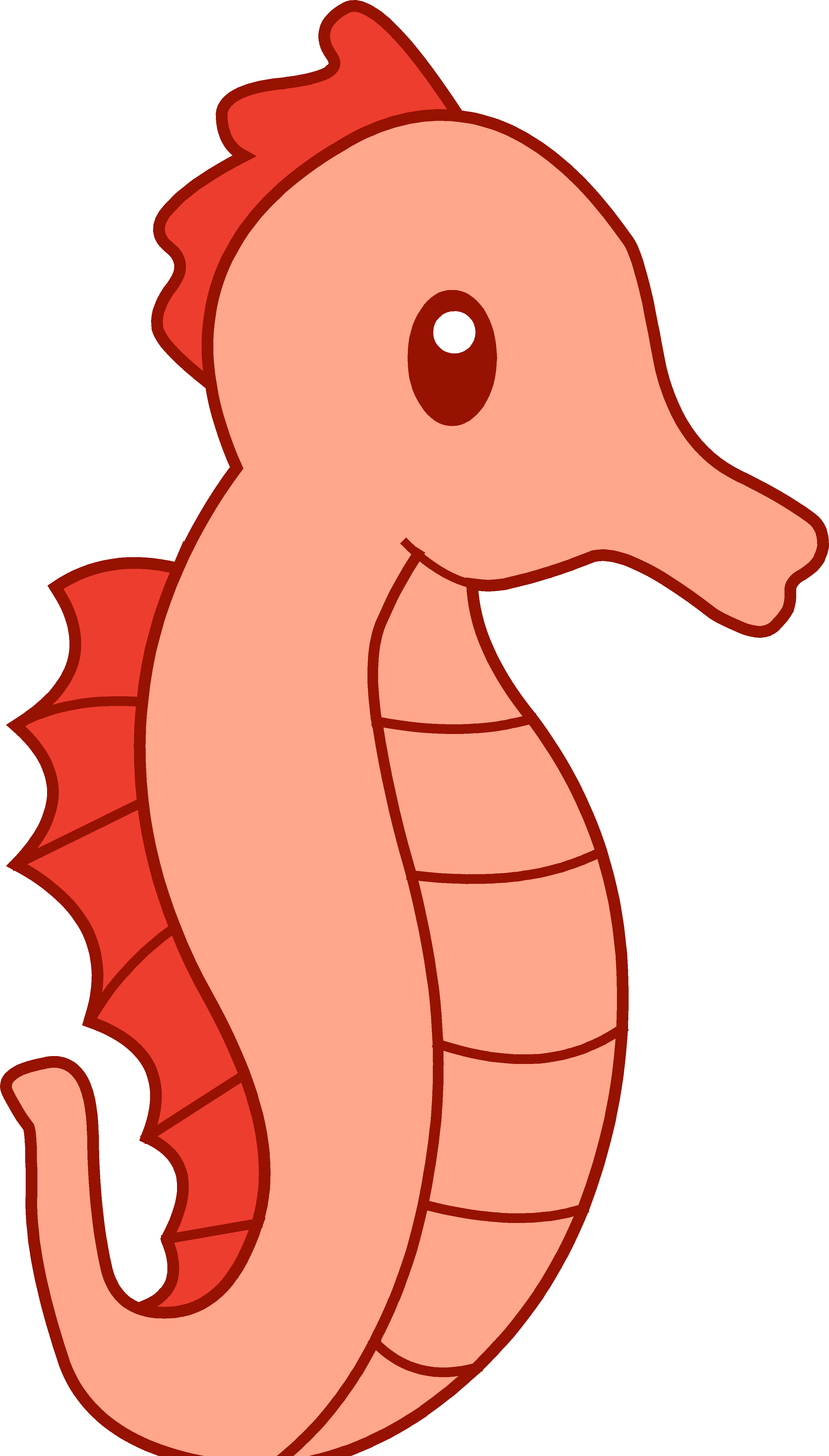 Cartoon Seahorse Outline - Sea Horse Clipart Black And White Transparent PNG - 3260x5723 - Free Download on - Horse Transparent PNG Free Download