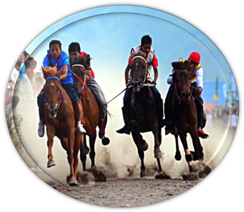 Lomba Merupakan Lokasi Yang Sering Digunakan Untuk - Horse Racing Transparent PNG - 804x703 - Free Download on - Horse Transparent PNG Free Download