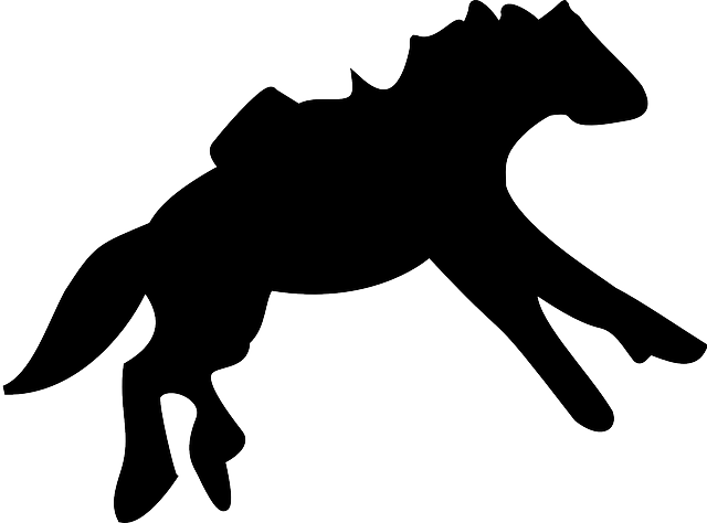 Mammal Silhouette, Farm, Horse, Running, Animal, Mammal - Horse - Free Transparent PNG Clipart Images Download. - Horse Transparent PNG Free Download