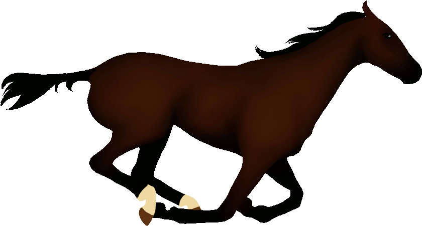 Horse Clipart Animation - Rider On The White Horse - Free Transparent PNG Clipart Images Download. - Horse Transparent PNG Free Download