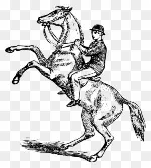 Man Riding A Rearing Horse Vector Image Public Domain - Man Riding Horse Drawing - Free Transparent PNG Clipart Images Download. - Horse Transparent PNG Free Download