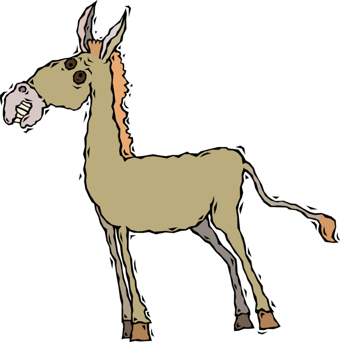 Vector Illustration Of Jackass Male Donkey Ass Domesticated - Horse - Free Transparent PNG Clipart Images Download. - Horse Transparent PNG Free Download