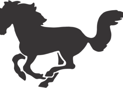 Силуэт Лошади Вектор - - Caution Horses Horsebox/ Trailer Van Sticker - Free Transparent PNG Clipart Images Download. - Horse Transparent PNG Free Download