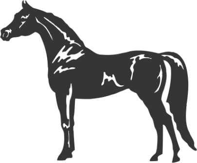 Horse Decal Horse Wall Sticker Arabian Horse Horse - Horse Side View Clipart - Free Transparent PNG Clipart Images Download. - Horse Transparent PNG Free Download