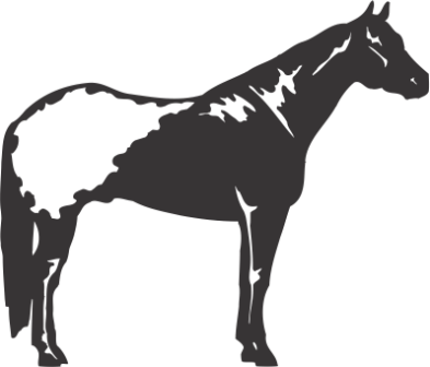 Силуэт Лошади G - Appaloosa Horses For Sale - Free Transparent PNG Clipart Images Download. - Horse Transparent PNG Free Download