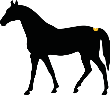 How Would You Describe The Girth Of The Horse - Horse Vector - Free Transparent PNG Clipart Images Download. - Horse Transparent PNG Free Download