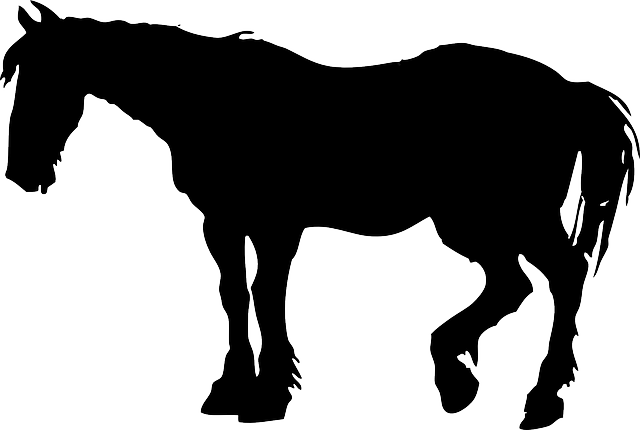 Head, Silhouette, Cartoon, Farm, Horse, Chicken - Horse Silhouette Clip Art - Free Transparent PNG Clipart Images Download. - Horse Transparent PNG Free Download