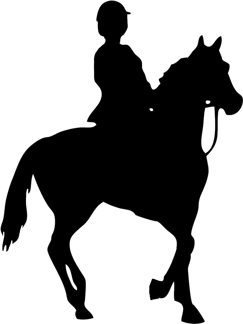 Black Silhouette Of Horse Rider - Many Calories Does Horse Riding Burn - Free Transparent PNG Clipart Images Download. - Horse Transparent PNG Free Download