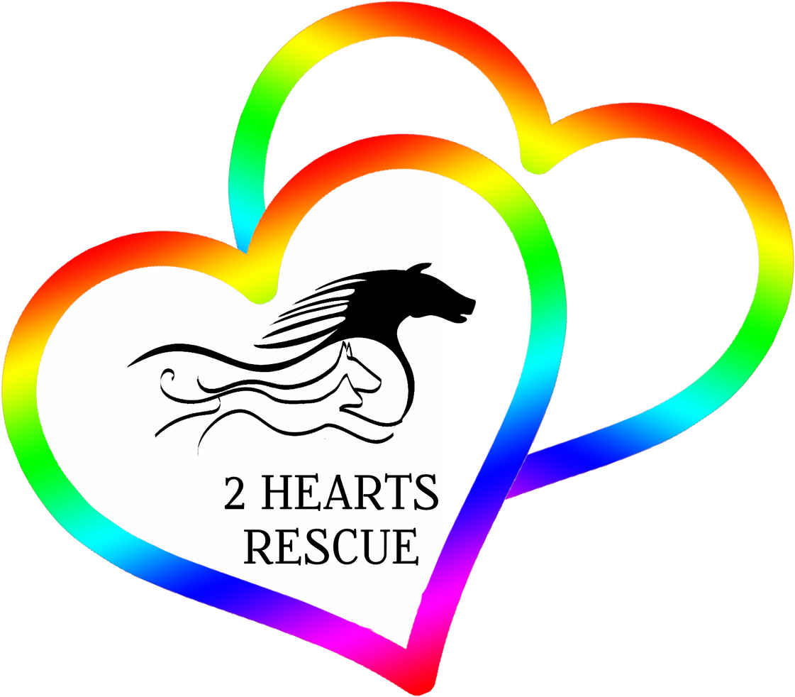 Want To Write In The 2 Hearts Rescue World - Horse - Free Transparent PNG Clipart Images Download. - Horse Transparent PNG Free Download